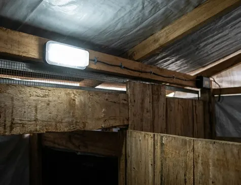 Image showing latrine_lighting